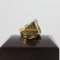 NFL 1974 Super Bowl IX Pittsburgh Steelers Championship Ring 14