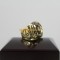 NFL 1974 Super Bowl IX Pittsburgh Steelers Championship Ring 15