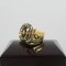 NFL 1974 Super Bowl IX Pittsburgh Steelers Championship Ring 9