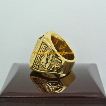 GATORS NATIONAL CHAMPIONSHIP 2008 visual data 8