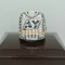 2013 saskatchewan roughriders the 101st grey cup champions ring 1