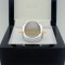 2009 ohio state buckeyes big ten championship ring 12