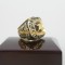 NFC 1974 Minnesota Vikings National Footall Championship ring 14