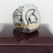 2015 michigan state spartans big ten championship ring 2